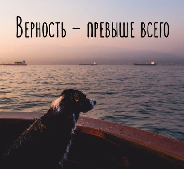    - 16  2019  03:26