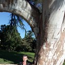 ���� ������, ������, 52 ���� - ��������� 27 ������ 2018 � ������ ���� ����������