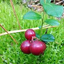  , , 60  -  13  2018    ,  .  2018.