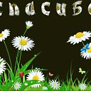  Jroslav, , 66  -  26  2019    