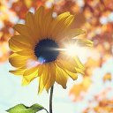 ���� �����, ������������ - ��������� 12 �������� 2018 � ������ ������ ��������� � �����������...�