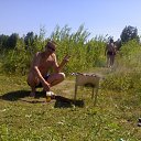 ���� �����, �������������, 46 ��� - ��������� 29 ���� 2018 � ������ ���� ���� ������