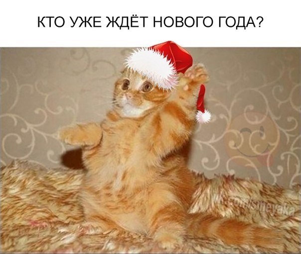  - 8  2018  17:02