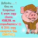  ,  -  20  2018    