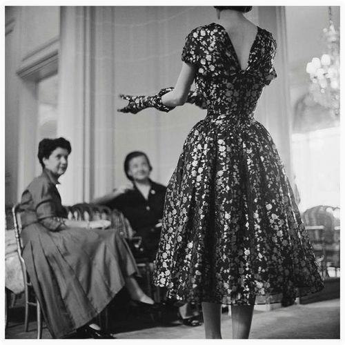 pepa a  oo oe Dior, 1953 .