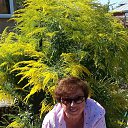 ���� �� ���� �� ������� ���� ����������