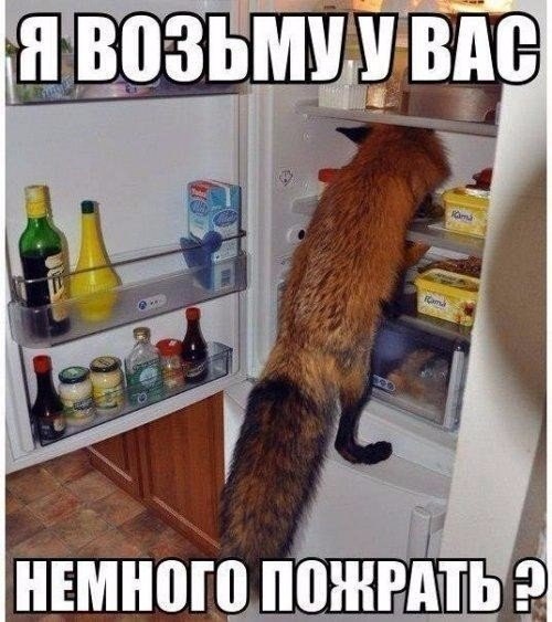          " ",   .    ...