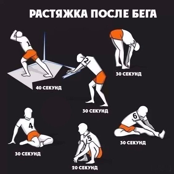  -   - 5  2019  16:55