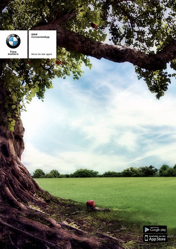 BMW     ,    :     ...