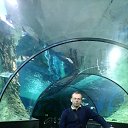 ���������� �������