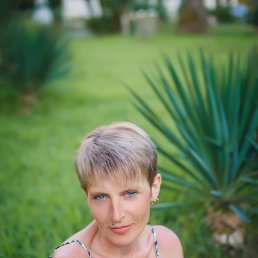 �����, ������, 53 ����