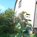   -good, , 43  -  14  2018   