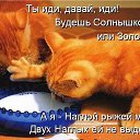  **l*ink@*, , 56  -  2  2018           ...