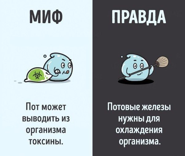10    ,   .: ADME#@ican - 8