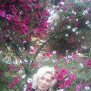 ���� �������, ������, 66 ��� - ��������� 31 ������� 2018 � ������ ���� ����������