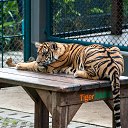   -  !), -, 53  -  10  2019     