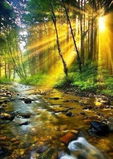 И даже то, что быть не может, однажды тоже может быть.