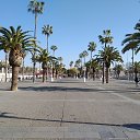 ���� �������, ����� - ��������� 27 ������� 2019 � ������ ���������� 2019 ��������