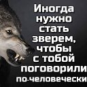 ���� Archi, ����������� - ��������� 29 ������� 2018 � ������ ���� ����������