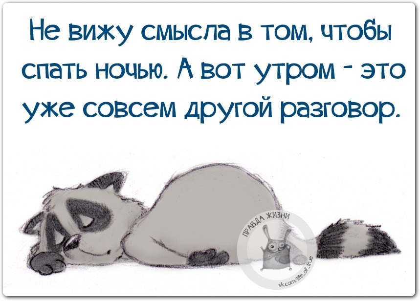   - 15  2019  17:03