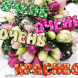 ���� Bekjon, ������, 41 ��� - ��������� 26 ������� 2019