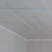  , 51 , 