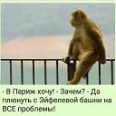 ���� ������, �����-���������, 55 ��� - ��������� 28 ����� 2019 � ������ ������ ��������