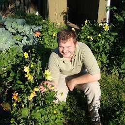 ����, �����, 41 ���