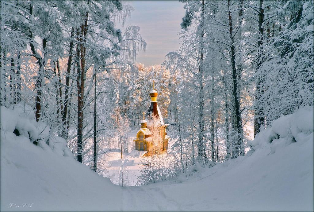 ������ ��������� ����.���������� ����� ������� -��� ������� ���� ��������.� ������ ������� �� ...