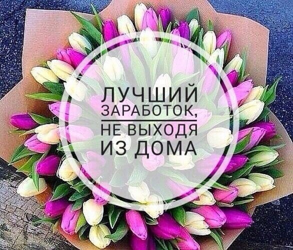 ������� ��������! ������ �� ����, ��� ����������, ������� � ������� � �������� ����� �������������� ...