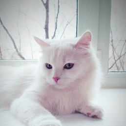 Egor, ����������, 39 ���
