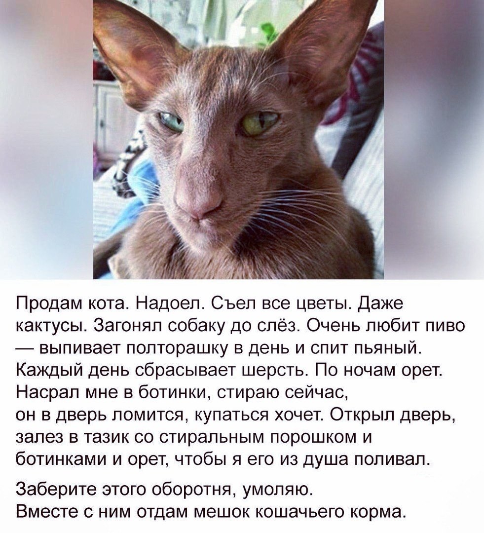 ***Victoria Viktorovna*** - 18  2018  15:15