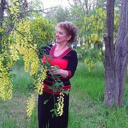 ���� �������, ����, 74 ���� - ��������� 21 ����� 2019