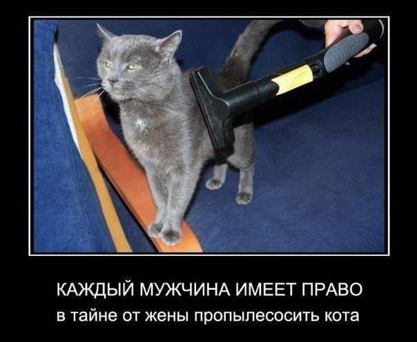 Ilya - 16  2018  16:12