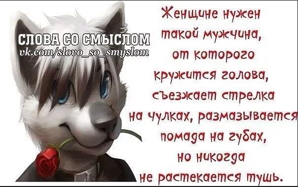  - 28  2019  11:14