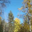 ���� ����������, ����������, 51 ��� - ��������� 30 �������� 2018 � ������ ���� ����������