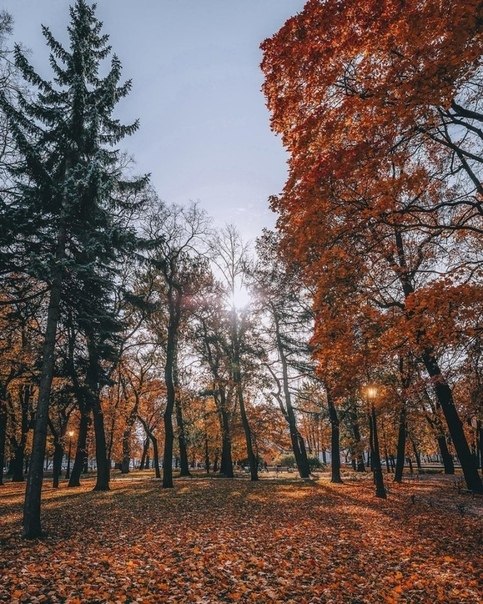 ce  ecapoco ca, ep - 2