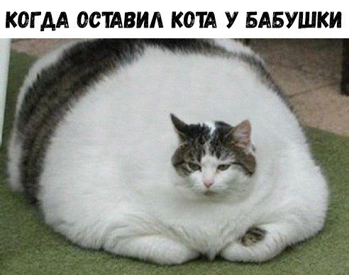    :D - 18  2018  16:28