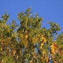 ���� �������, ������������ - ��������� 28 ������ 2018 � ������ ���� ����������