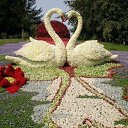 ���� Essam, �������, 46 ��� - ��������� 1 ������� 2018 � ������ ������ ��������