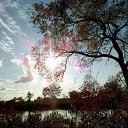 ���� �������, �������������, 66 ��� - ��������� 7 ������� 2018 � ������ �������� �����