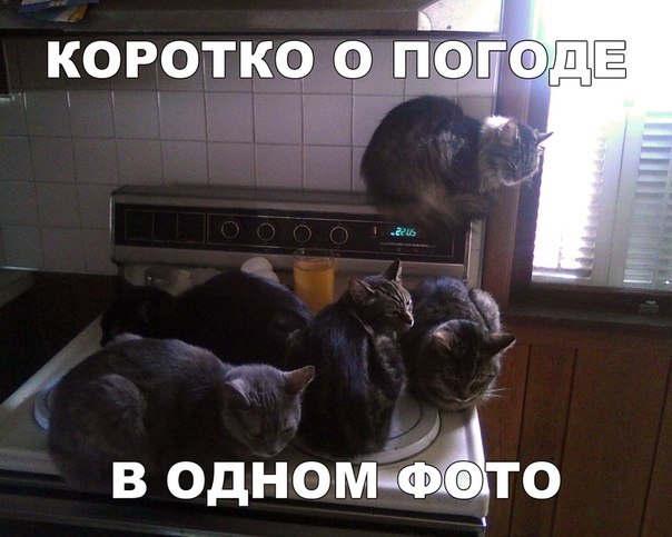 ~**~ - 1  2018  10:32