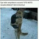 ���� �������, ������, 50 ��� - ��������� 12 ����� 2019 � ������ ���� ����������