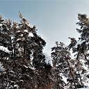 ���� ���������( �� �������), ��������� - ��������� 12 ������ 2019 � ������ �2019�