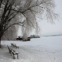 ���� �������, ������, 68 ��� - ��������� 20 ������� 2018 � ������ ������ ��������