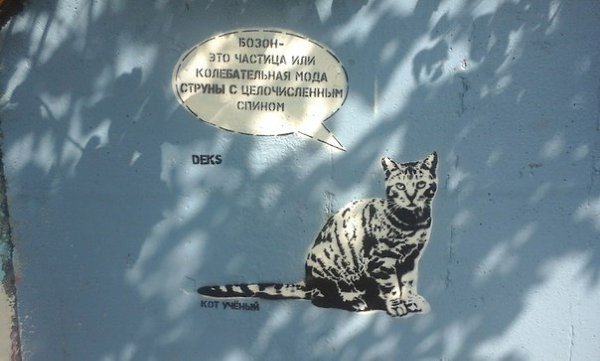 Иду я по пляжу, и тут кот пытается взяться за моё образование