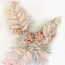 ���� Nick, �����������, 50 ��� - ��������� 28 ������� 2019 � ������ ������ ��������