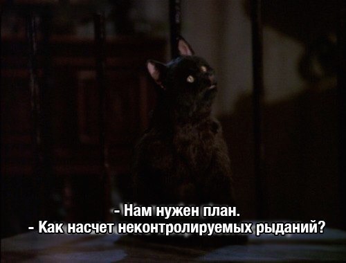    :   - 3