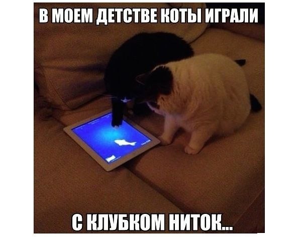 21 )))