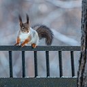 ���� ���������, �����������, 55 ��� - ��������� 11 ������� 2019 � ������ ���� ����������